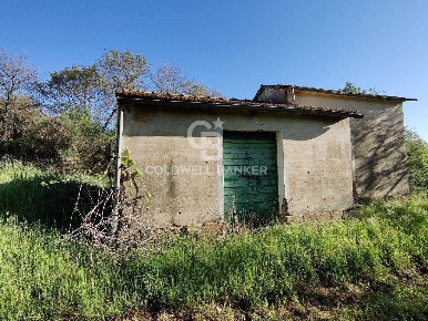 Foto Rustico in Strada Provinciale 109 di Castro, Ischia di Castro
