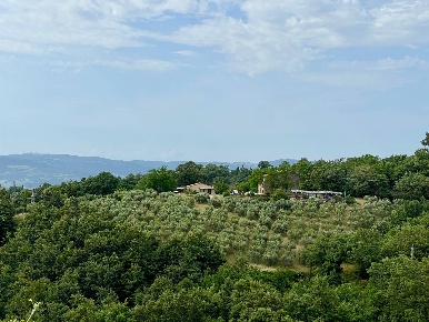 Foto Rustico in Loc III san giovanni, Manciano di 379 m² con 18 locali