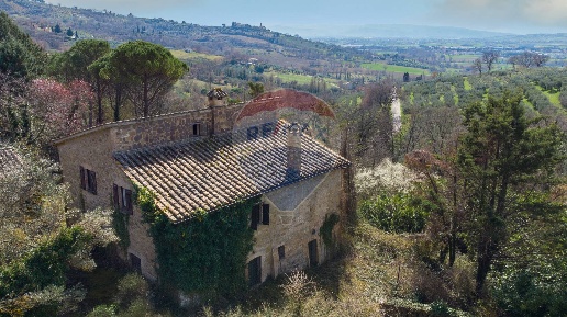 Foto Rustico a Assisi Palazzo, Petrignano di 480 m² con 10 locali