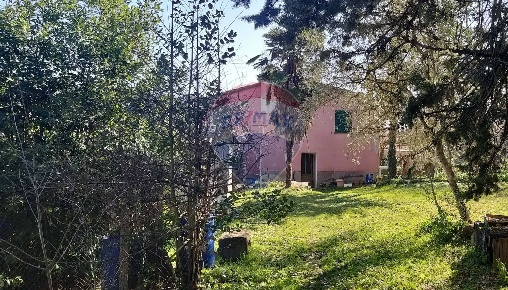 Foto Rustico a Pomarance Centro di 500 m² con 10 locali in vendita