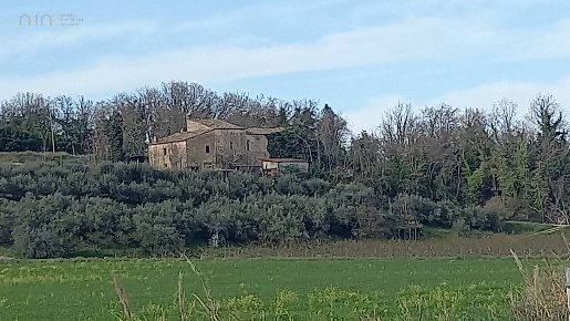 Foto Rustico in Contrada Montecalvario, Montalto delle Marche di 925 m²