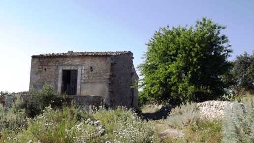 immagine annuncio 1 di 7