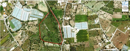 immagine annuncio 6 di 7
