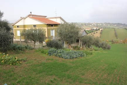 Foto Rustico in Frazione borrano, Civitella del Tronto di 330 m² in vendita
