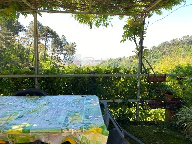 Foto Rustico a Pietrasanta di 130 m² con 4 locali in vendita