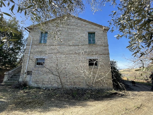 immagine annuncio 2 di 7