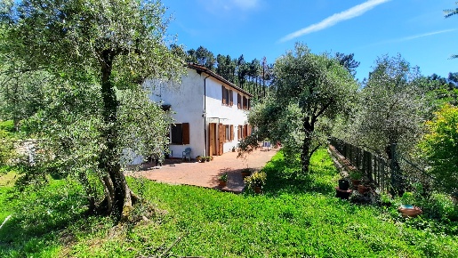 Foto Rustico in via di vorno, Capannori Verciano - Guamo di 140 m²
