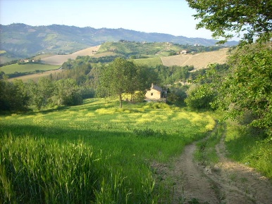 Foto Rustico in Contrada Messieri, Ripatransone Centro di 150 m² in vendita