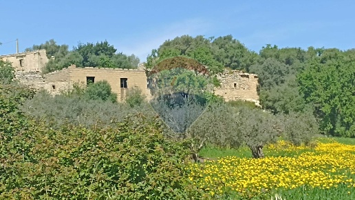 immagine annuncio 11 di 14