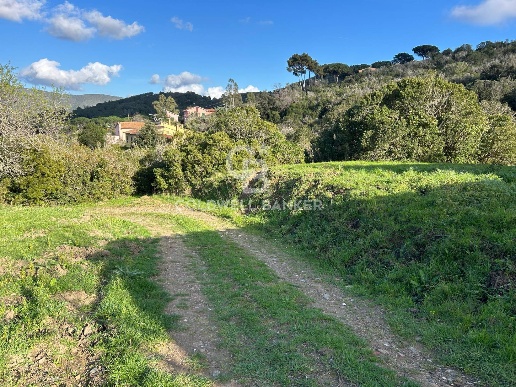 immagine annuncio 4 di 14