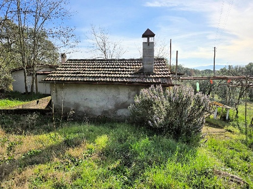 immagine annuncio 8 di 14