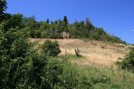 Foto Rustico in contrada acquarola, Ripatransone di 380 m² con 11 locali