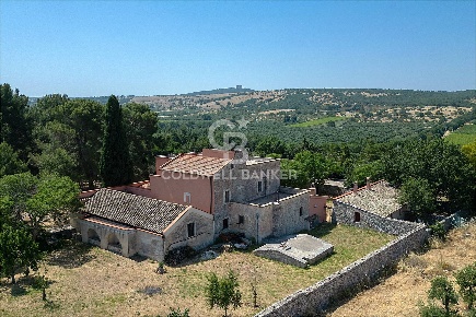 Foto Rustico in CONTRADA PALESE, Andria Montegrosso - Boschetto di 1000 m²