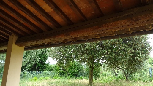 Foto Rustico a Montespertoli di 390 m² con 8 locali in vendita