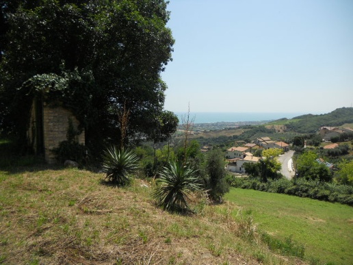 immagine annuncio 7 di 8