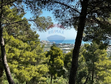 Foto Rustico in Località Principe, Vieste di 60 m² con 2 locali in vendita