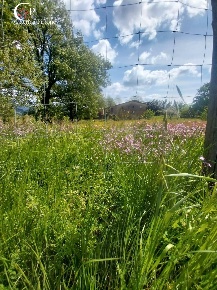 Foto Rustico in via di San Gavino, Scarperia e San Piero di 350 m²