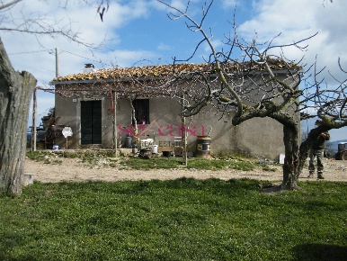 Foto Rustico a Scansano Poggioferro di 140 m² con 10 locali in vendita
