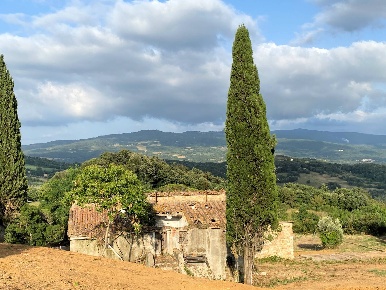 Foto Rustico a Monteverdi Marittimo di 330 m² con 14 locali in vendita
