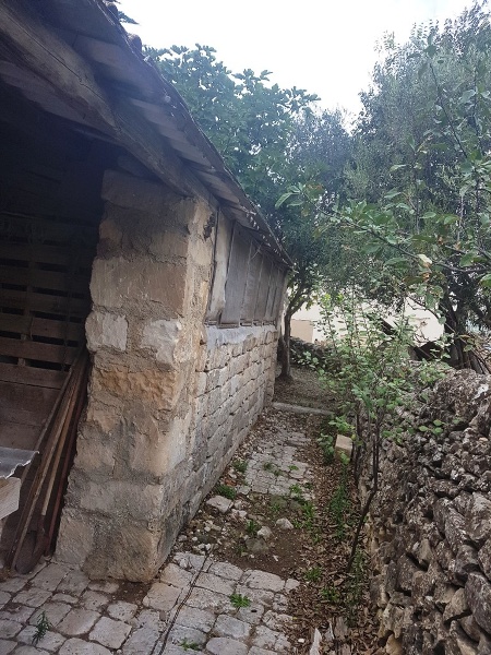 immagine annuncio 1 di 8