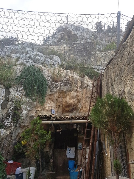 immagine annuncio 3 di 8