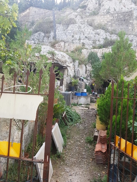 immagine annuncio 4 di 8