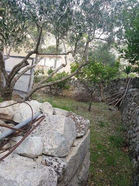 immagine annuncio 6 di 8