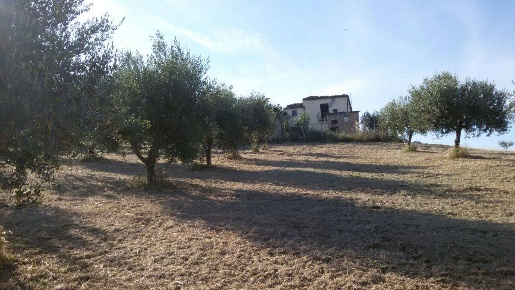 Foto Rustico in via della fonte, Campli di 140 m² con 6 locali in vendita