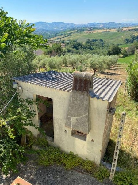 immagine annuncio 7 di 13