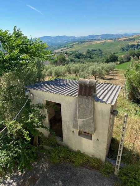 immagine annuncio 8 di 13