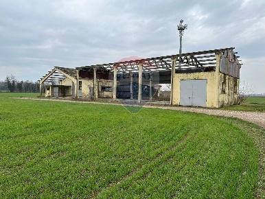 Foto Rustico a Porto Mantovano Sant'antonio di 723 m² con 2 locali