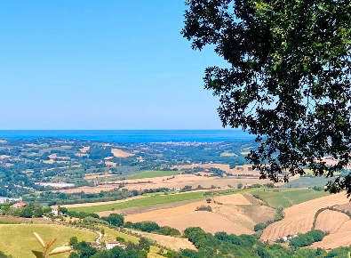 Foto Rustico in Monteciccardo, Pesaro Monteciccardo di 160 m² con 6 locali