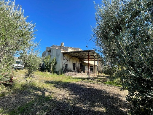 immagine annuncio 4 di 14