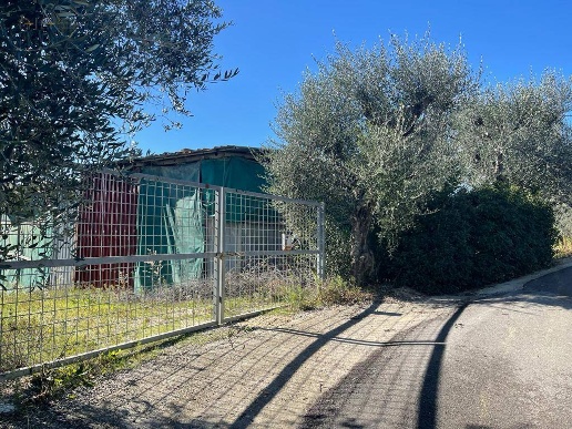 immagine annuncio 6 di 14