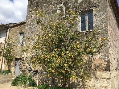 Foto Rustico in VIA SAN GIOVANNI, Telese Terme di 250 m² con 10 locali