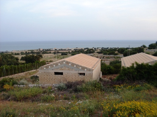 immagine annuncio 3 di 12