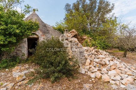 Foto Baita in Strada Monte Pelusiello, Martina Franca di 75 m² con 7 locali