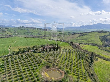Foto Rustico in via del casello, Pienza Centro di 538 m² con 17 locali