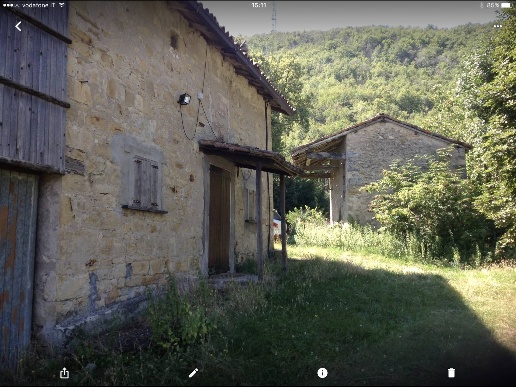 immagine annuncio 1 di 3