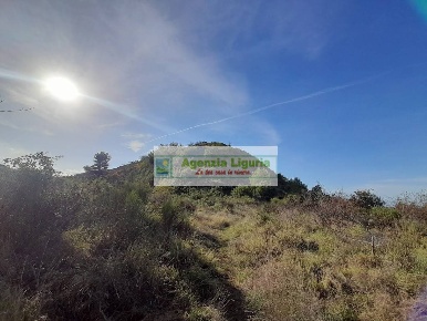 Foto Rustico in località Alpicella, Dolceacqua di 24873 m² in vendita