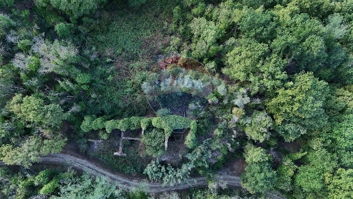 Foto Rustico in VIA DI VALLESE, Castelfiorentino di 600 m² con 27 locali