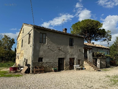 Foto Rustico in C.da Valli, Servigliano di 360 m² con 15 locali in vendita