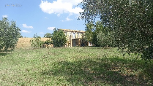 Foto Rustico in Contrada Lava, Offida di 120 m² con 6 locali in vendita