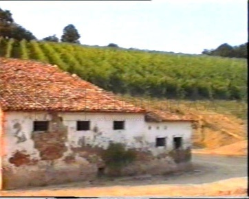 Foto Rustico in Via San Vittore, Cesena San Vittore di 240 m² con 6 locali
