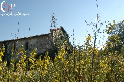 Foto Rustico in via del Cesto, Figline e Incisa Valdarno Aiaccia di 1000 m²