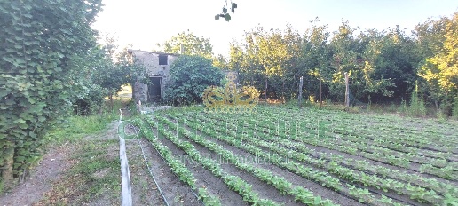 immagine annuncio 5 di 9