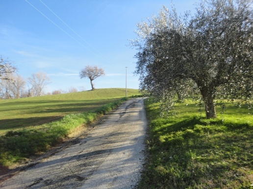 immagine annuncio 2 di 14