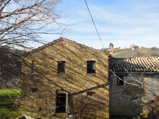 immagine annuncio 3 di 14