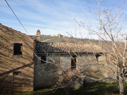 immagine annuncio 4 di 14