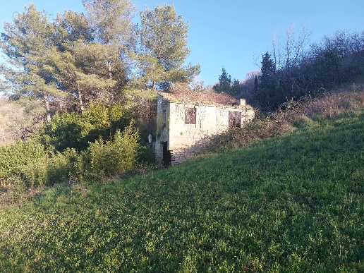 immagine annuncio 2 di 9